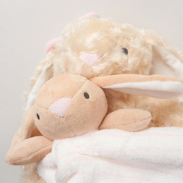 Baby Bunny Plush Toy & Comforter Set
