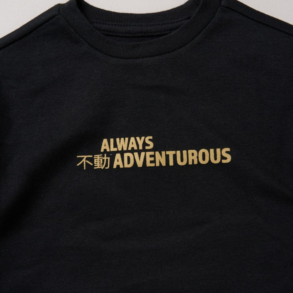 Boys T-Shirt & Shorts Set 2-4 Years