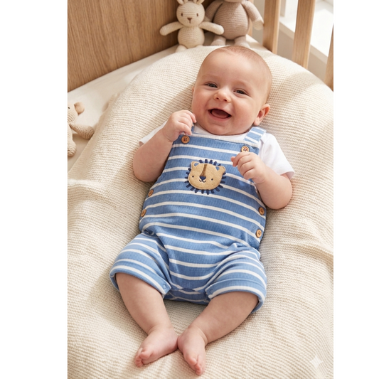 Baby Boy Dungaree & T-Shirt Set 3-12 Months